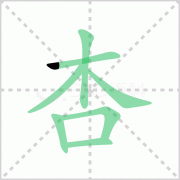 杏的拼音 粤语杏的拼音怎么读及意思是什么！